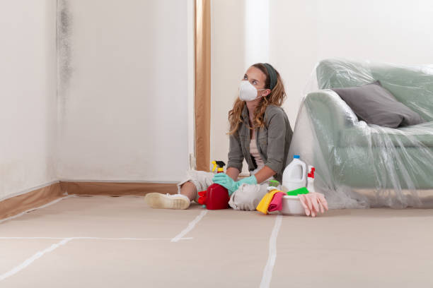 Trusted Basement Mold Remediation service in Union City, NJ - Cheap Mold Removal